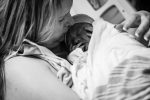 Brown Birth-493