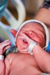 Grenon Birth-288